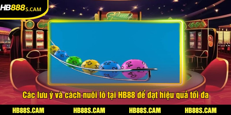 Cách Nuôi Lô HB88 - Hướng Dẫn Chi Tiết Và Mẹo Thắng Lớn 3 Các lưu ý và cách nuôi lô tại HB88 để đạt hiệu quả tối đa